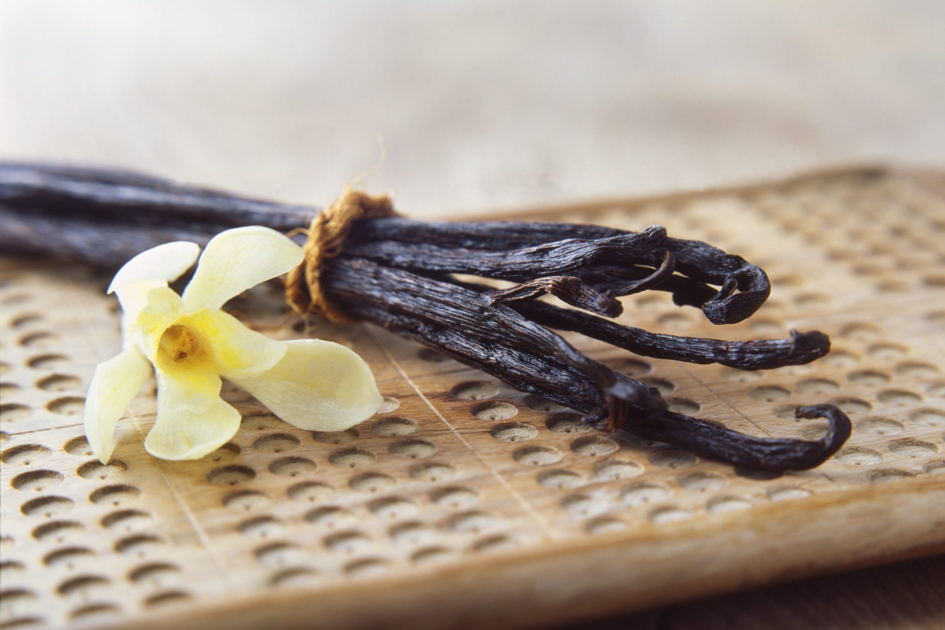 Vanilla pods and yellow flower on wooden board