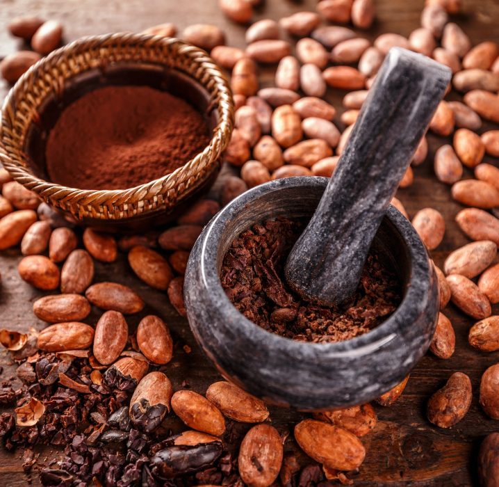 Cacao moulu